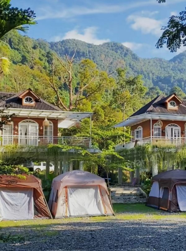 476798453 968825281883092 1706725610033110075 n